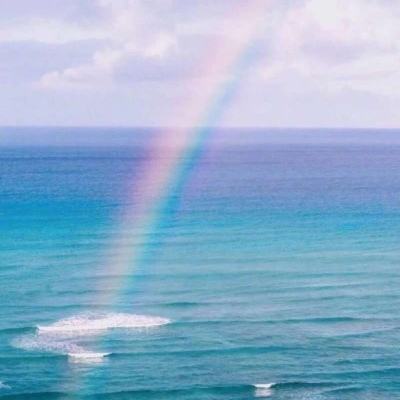 im电竞平台下载手机版